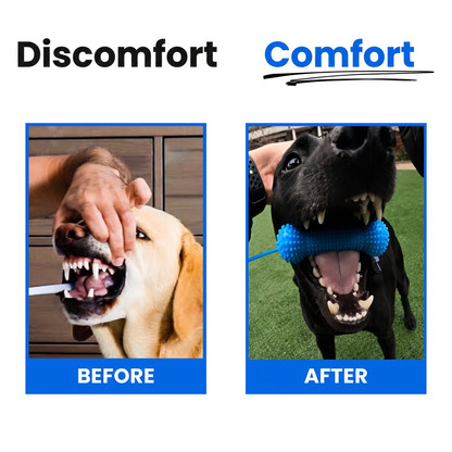 DentiBone™ 2-in-1 Plaque Defense